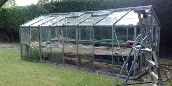 HMS Greenhouse Removal service in BCP | Dorset | Eastleigh | New Forest | Romsey | Salisbury | Southampton | Winchester | Yeovil.
